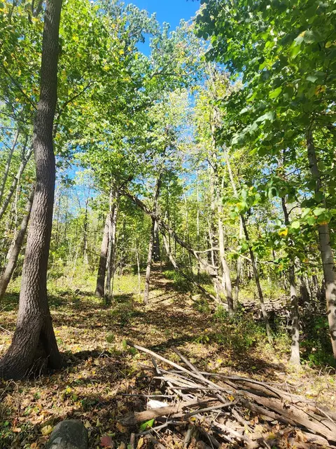 Lt0 312th, Brighton, WI 53139