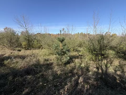 lot31 Woodland, Webster, WI 54664