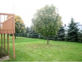 n9679 Gina Drive, Appleton, WI 54915 photo 1