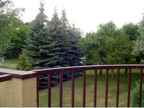1441 S Van Dyke Rd #2f, Appleton, WI 54914 photo 5