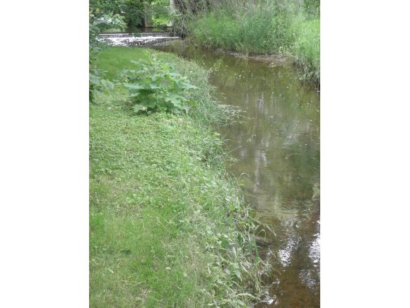 2805 W Capitol Dr, Appleton, WI 54914 photo 23