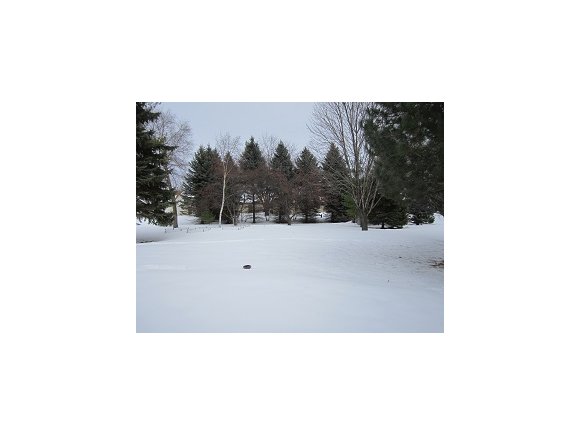38 Greves Ct, Appleton, WI 54914 photo 25