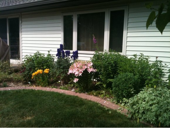 38 Greves Ct, Appleton, WI 54914 photo 20