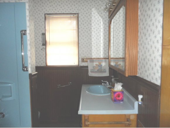 1716 W Pine St, Appleton, WI 54914 photo 8
