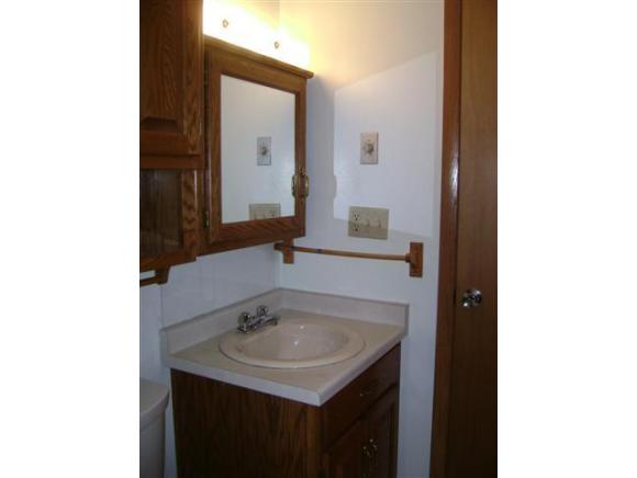 724 S Lee St, Appleton, WI 54915 photo 10