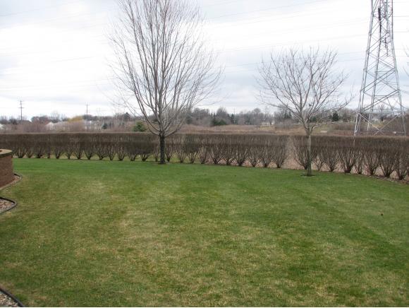 w5660 Jochmann Drive, Appleton, WI 54915 photo 16