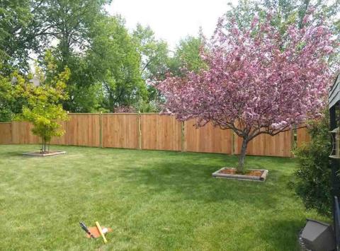 2514 Hazelnut Ln, Appleton, WI 54915 photo 41