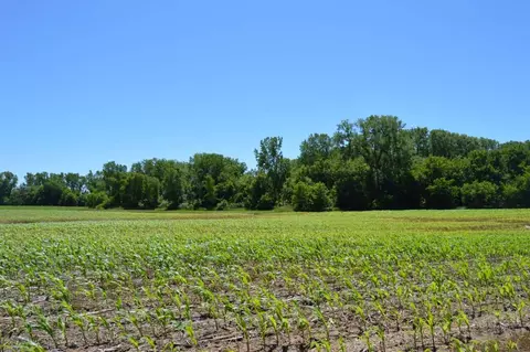 Apple Creek Road, Appleton, WI 54913 photo 4