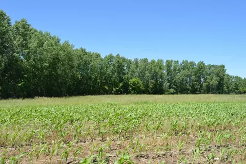 Apple Creek Road, Appleton, WI 54913 photo 2