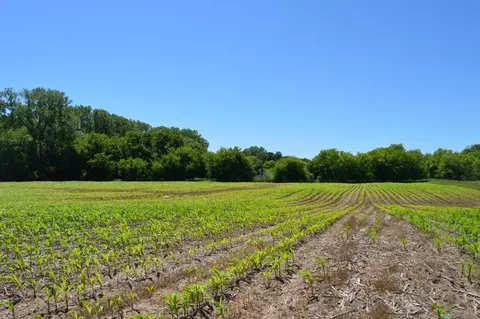 Apple Creek Road, Appleton, WI 54913 photo 3