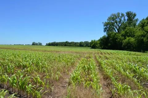 Apple Creek Road, Appleton, WI 54913 photo 7