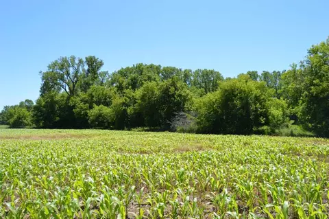 Apple Creek Road, Appleton, WI 54913