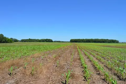 Apple Creek Road, Appleton, WI 54913 photo 6
