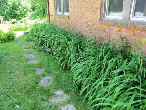516 N Bennett St, Appleton, WI 54914 photo 5