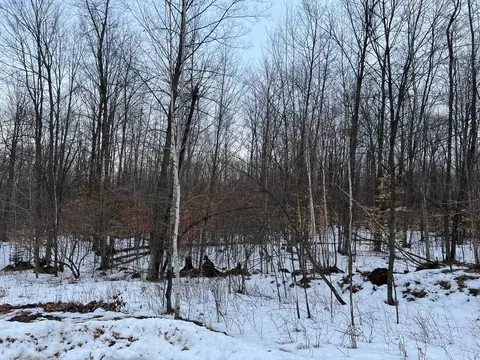 Maryann Court, Pound, WI 54161