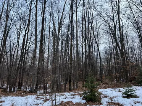Maryann Court, Pound, WI 54161