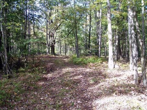 6944 Sundew Rd, Abrams, WI 54171 photo 13
