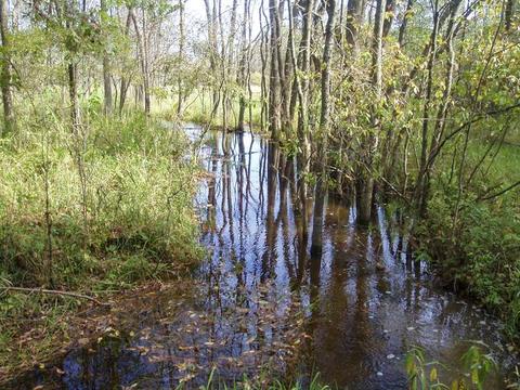 6944 Sundew Rd, Abrams, WI 54171 photo 3