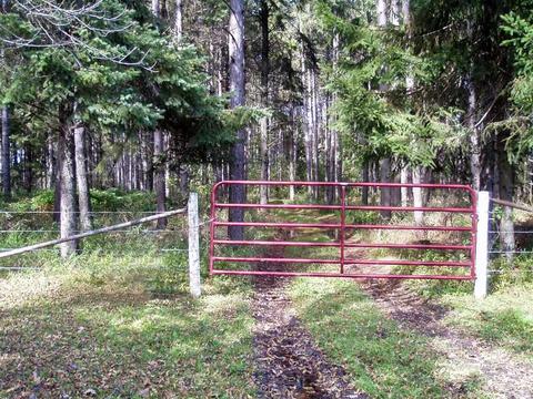 6944 Sundew Rd, Abrams, WI 54171 photo 19