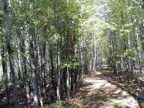 6944 Sundew Rd, Abrams, WI 54171 photo 9