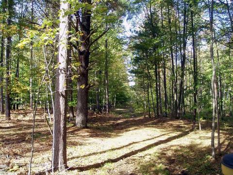 6944 Sundew Rd, Abrams, WI 54171 photo 12