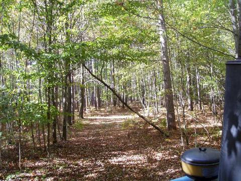 6944 Sundew Rd, Abrams, WI 54171 photo 10