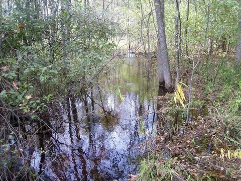 6944 Sundew Rd, Abrams, WI 54171 photo 2