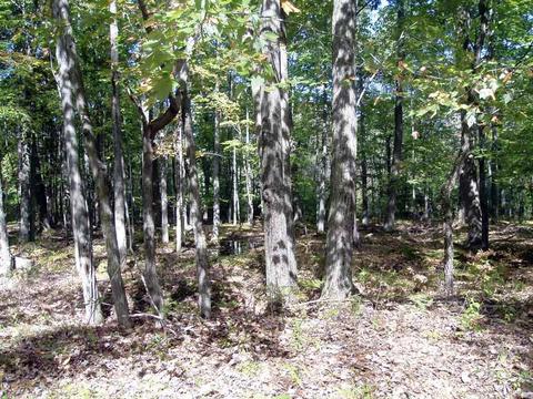 6944 Sundew Rd, Abrams, WI 54171 photo 22