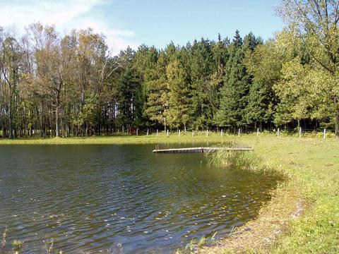 6944 Sundew Rd, Abrams, WI 54171 photo 15
