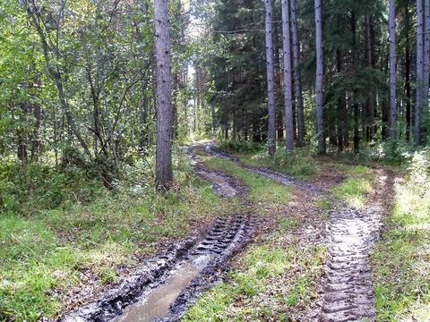 6944 Sundew Rd, Abrams, WI 54171 photo 14