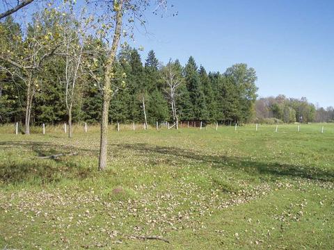 6944 Sundew Rd, Abrams, WI 54171 photo 5