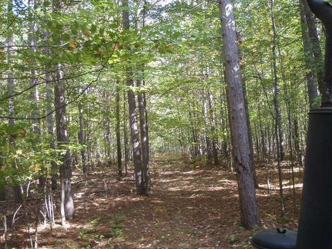 6944 Sundew Rd, Abrams, WI 54171 photo 8