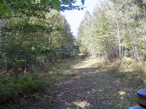 6944 Sundew Rd, Abrams, WI 54171 photo 11
