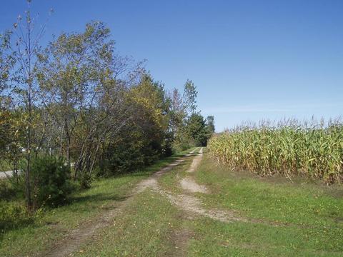 6944 Sundew Rd, Abrams, WI 54171 photo 18