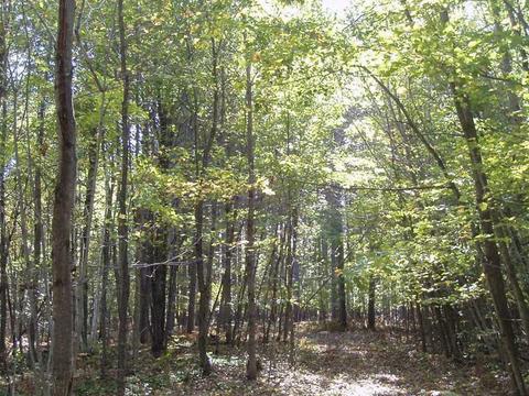 6944 Sundew Rd, Abrams, WI 54171 photo 7