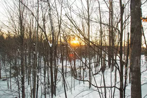 County Road F Lot #1, Lakewood, WI 54138