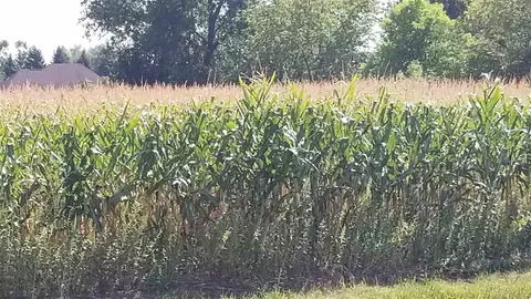 Midway Road, Appleton, WI 54915 photo 2