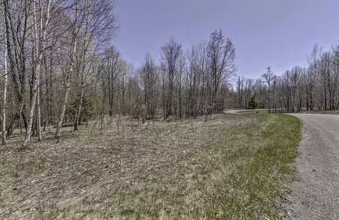Deepwoods Trail, Crivitz, WI 54114 photo 3
