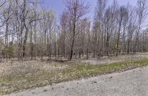 Deepwoods Trail, Crivitz, WI 54114 photo 2