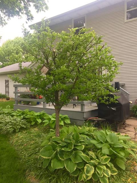 2321 W Seneca Dr, Appleton, WI 54914 photo 39