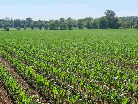 Clayton Avenue, Neenah, WI 54956