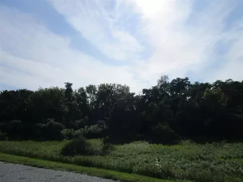 Nelson Street, Amherst Jct, WI 54407