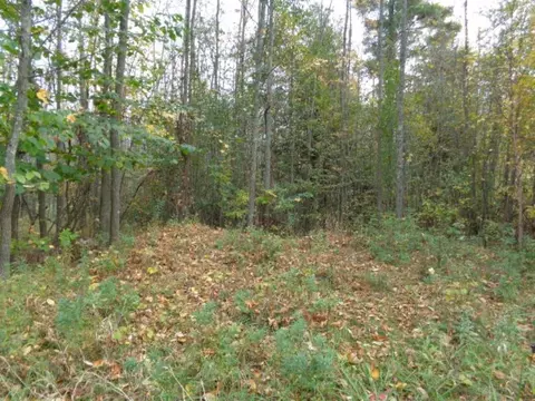 Cth G, Suring, WI 54174