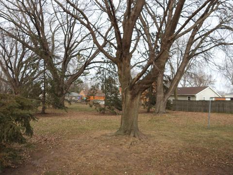 1418 E Tracy St, Appleton, WI 54915 photo 30
