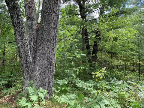 Oxbow Lane, Wausaukee, WI 54177