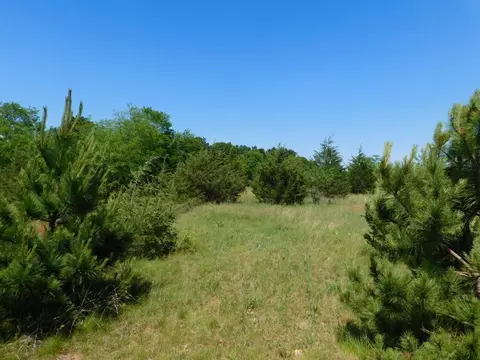 Eagle Lane, Montello, WI 53949