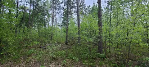 Island Bluff Lane, Wausaukee, WI 54177