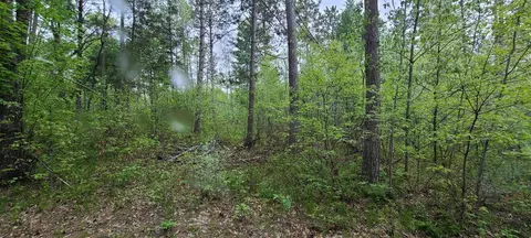 Island Bluff Lane, Wausaukee, WI 54177