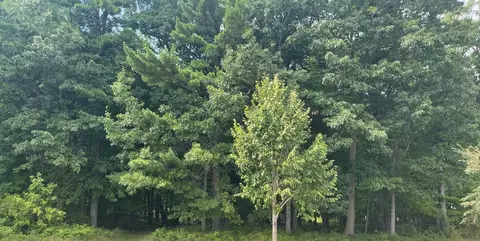 Stordeur Drive, Green Bay, WI 54313