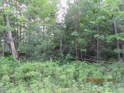 Oxbow Lane, Wausaukee, WI 54177
